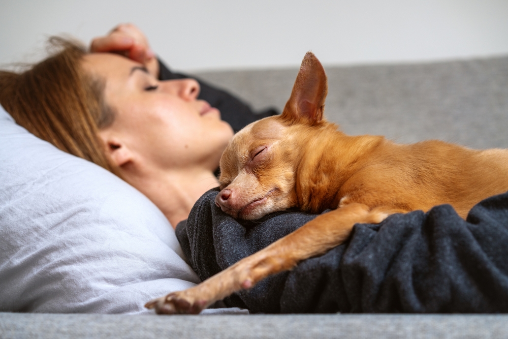 sleeping with Your Dog